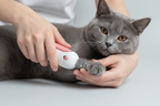 Pet nail clipper with a stainless steel blade, ABS plastic body and safety lock