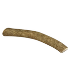 The Pet Gourmet medium whole elk antler dog chew, about 6 to 8 inches long