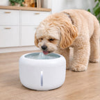 Pet Life Moda-Pure water fountain that comes apart so every piece can be washed
