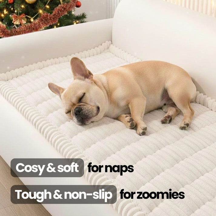 Plush furniture cover that protects sofas from pet hair