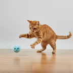 Plush squeaky cat ball, about 24 g, light enough for cats to bat and carry