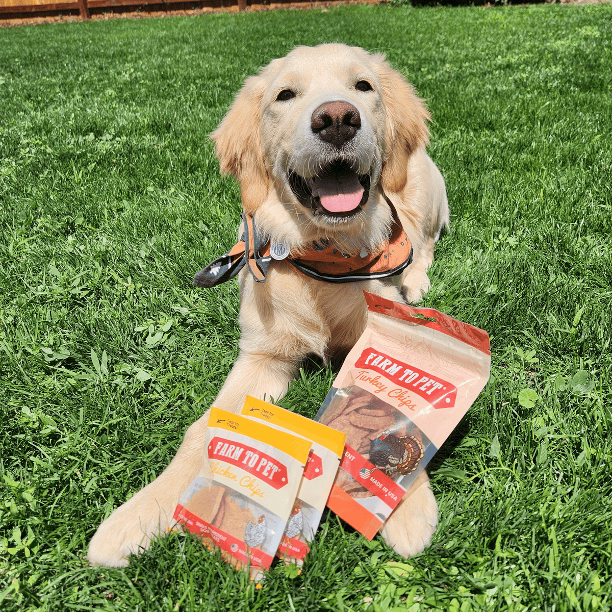 Puppy training treats photo for the Farm to Pet Puppy Pack, four single-ingredient chip flavors
