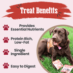 Treat benefits graphic for the Farm to Pet Puppy Pack of chicken, turkey, beef and fish chips