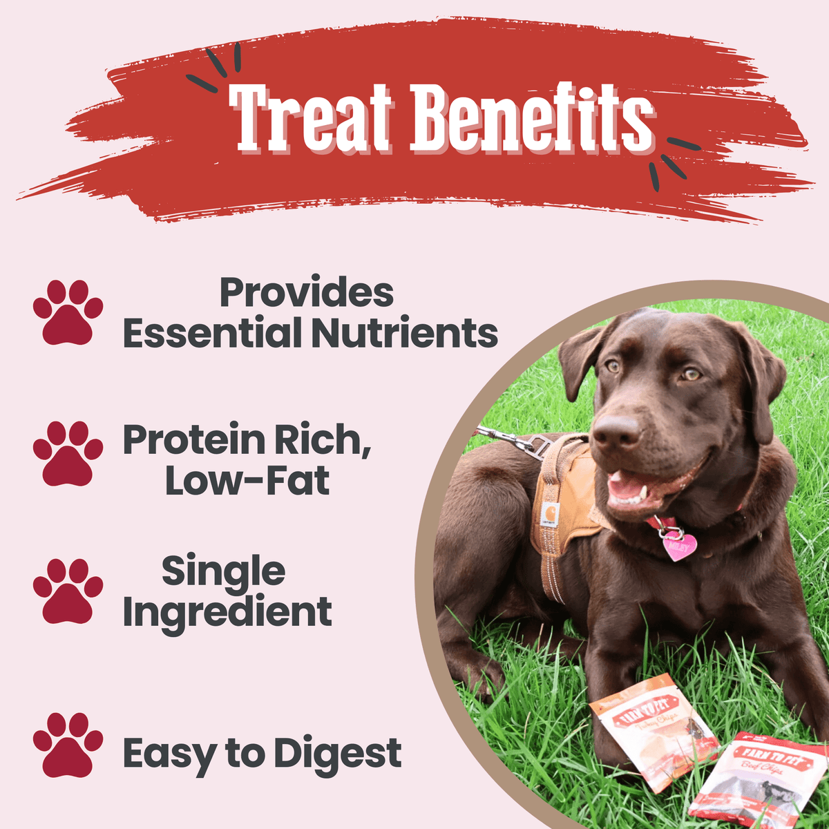 Treat benefits graphic for the Farm to Pet Puppy Pack of chicken, turkey, beef and fish chips