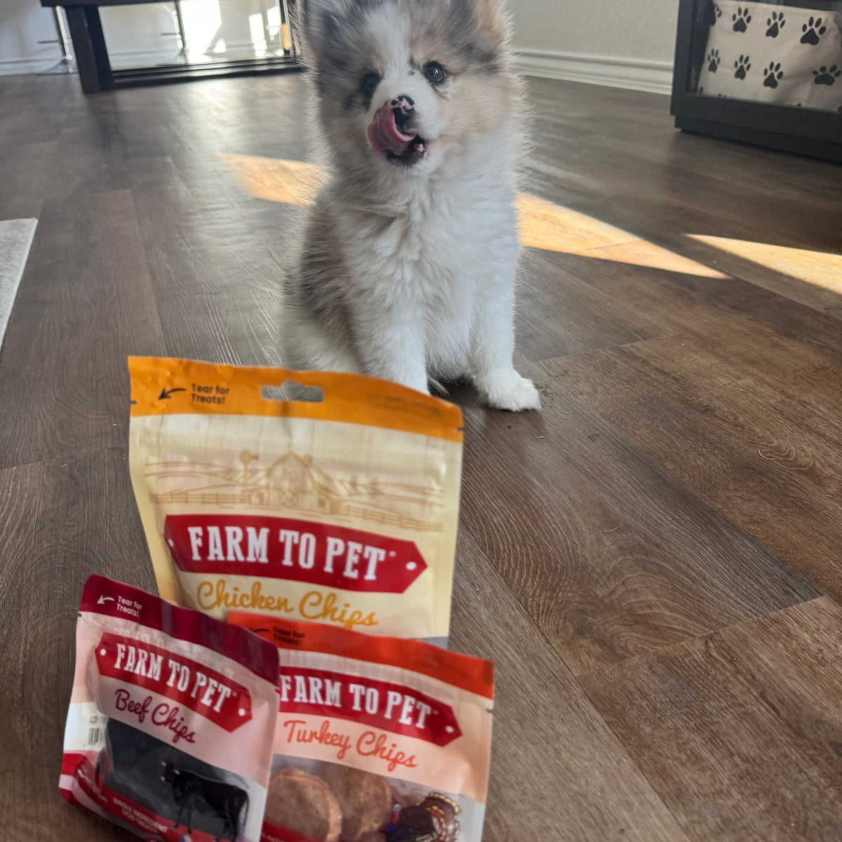 Puppy with its tongue out and the chicken Puppy Pack of single-ingredient Farm to Pet chips
