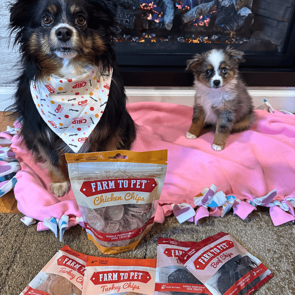 Puppy with the chicken Puppy Packs 'n Snacks starter pack, Farm to Pet training treats