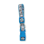 Colorful embroidered rainbow ribbon on a nylon dog collar for bright everyday walks
