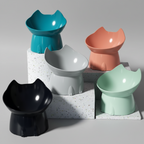 Raised cartoon ear pet bowl in anti-knock plastic for everyday feeding