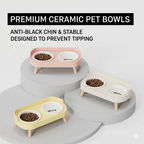 Raised dual pet bowls for multi-pet homes, shipped in an individual color box