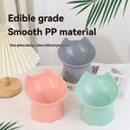 Raised tilted bowl for food or water, sized for cats and small dogs