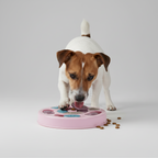 Dog and cat enrichment puzzle feeder for mealtime brain games and treat hunts