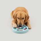 Round puzzle feeder toy for pets, listed for beginner to advanced training stages