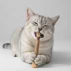 Silver vine cat chew stick with a raffia tassel end, for cats 3 months and older