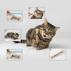 Silver vine chew sticks for cats, kept in a sealed bag between play sessions