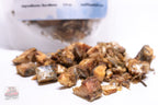 Texture of Sniff and Shift freeze-dried whole sardines: small to medium fish with soft, brittle bones
