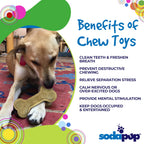Benefits graphic for the SodaPup Nylon Bone eChew chew toy for heavy chewing dogs