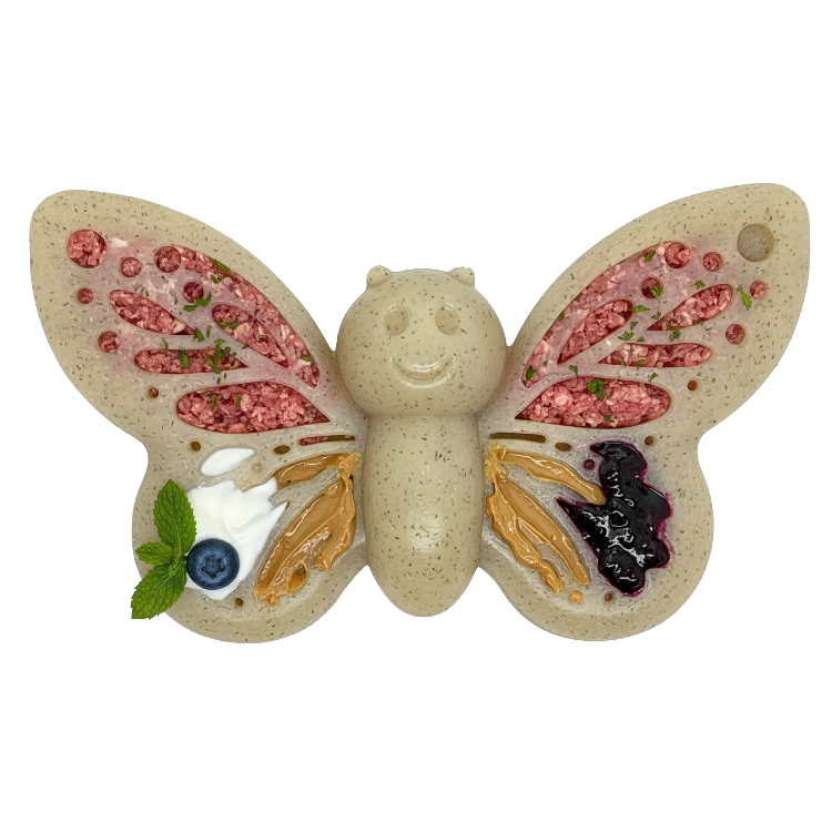 SodaPup Butterfly eChew, a 2-in-1 nylon chew and lick toy shaped like a butterfly