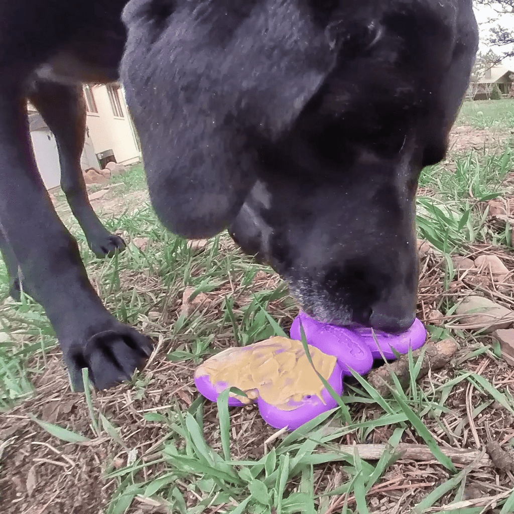 Dishwasher-safe purple SodaPup Butterfly nylon toy for supervised chewing and licking