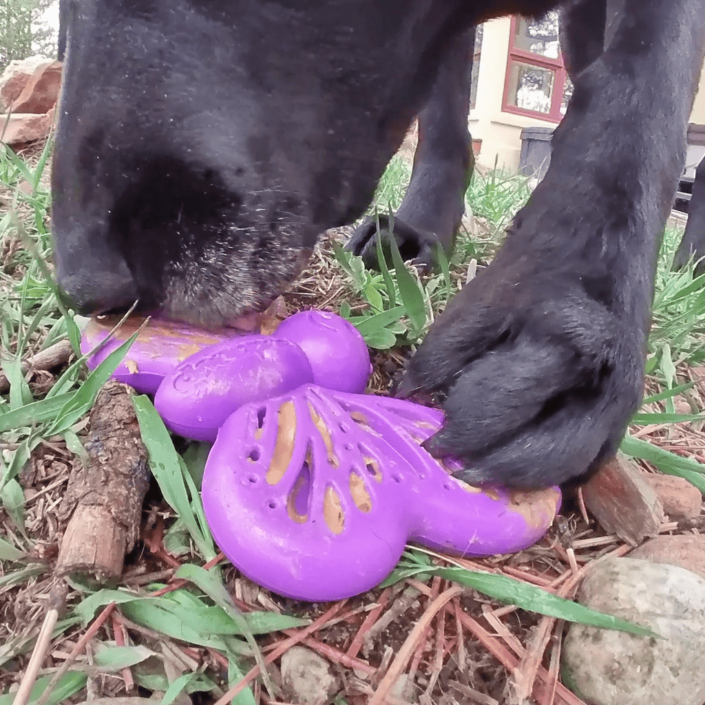 SodaPup Butterfly eChew in purple, a durable nylon chew for dogs that chew hard