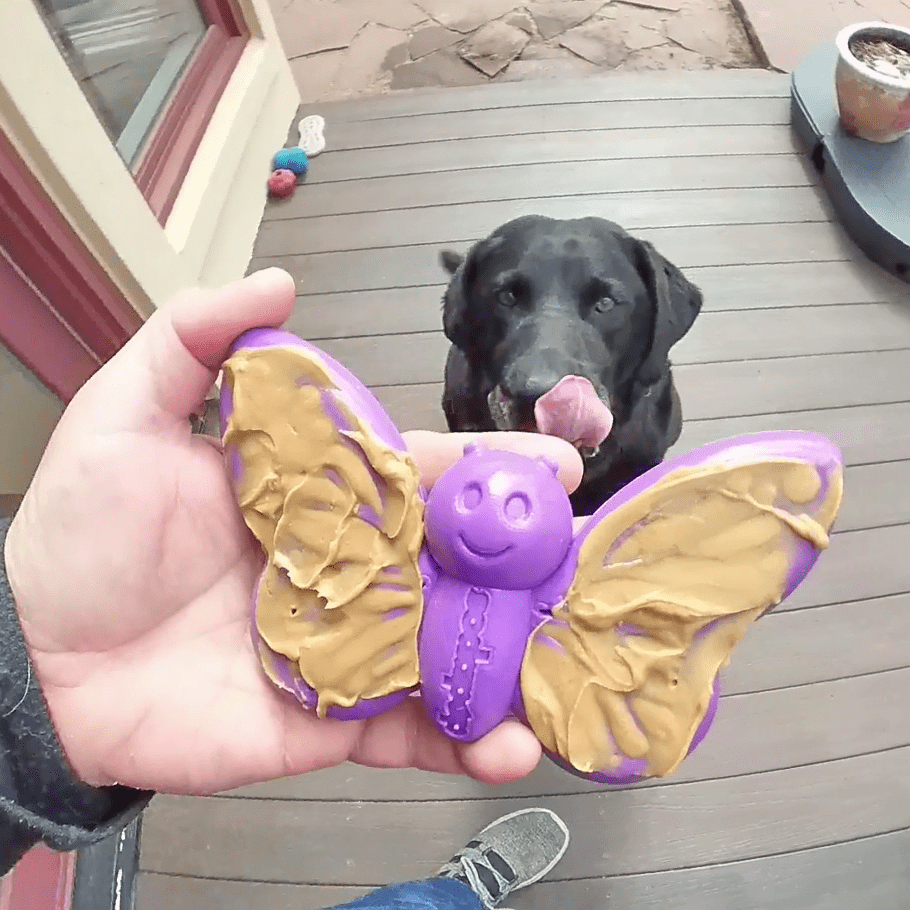 Purple Butterfly eChew by SodaPup with wing grooves that hold peanut butter or yogurt