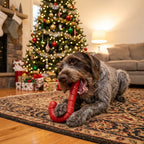 Red SodaPup candy cane chew toy made in the USA from FDA-compliant, BPA-free nylon