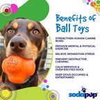 Benefits graphic for the orange SodaPup Crazy Bounce, a fetch ball with an erratic bounce