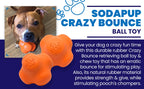 Header graphic with text for the orange SodaPup Crazy Bounce retrieving ball for power chewers