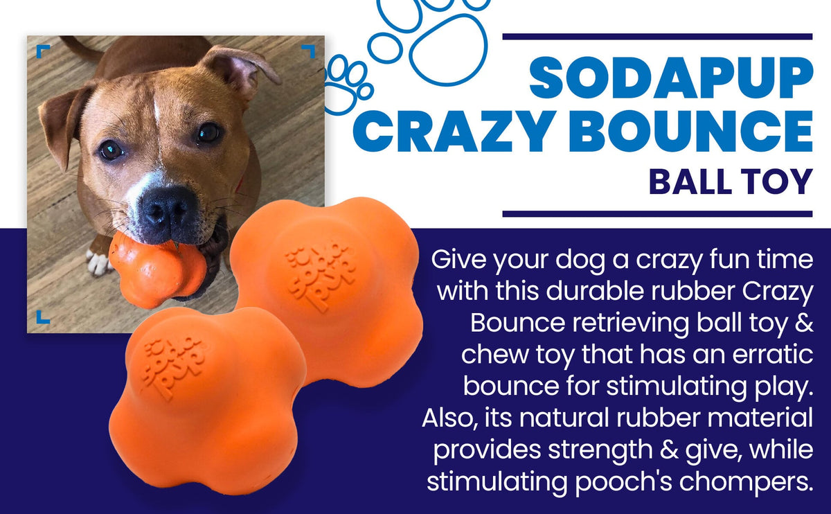 Header graphic with text for the orange SodaPup Crazy Bounce retrieving ball for power chewers