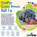 Product synopsis graphic for the SodaPup Crazy Bounce solid rubber chew and retrieving ball