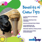 Benefits graphic for the SodaPup Honey Bone Dental Tower, a brown nylon chew for power chewers