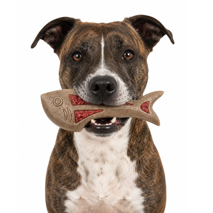Fish-shaped SodaPup nylon dog chew with embossed eye, gill and fin details for extra texture