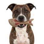 Fish-shaped SodaPup nylon dog chew with embossed eye, gill and fin details for extra texture
