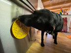Yellow rubber duck lick mat by SodaPup, made in the USA from BPA-free, FDA-compliant TPE