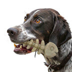 Brown Fish Bone by SodaPup, a 6 oz FDA-compliant, BPA-free nylon chew made in the USA