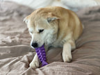 SodaPup Fish Bone nylon chew toy with a fish skeleton design for water-loving dogs