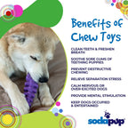 Benefits graphic for the purple SodaPup Fish Bone, a hard nylon chew for strong chewers