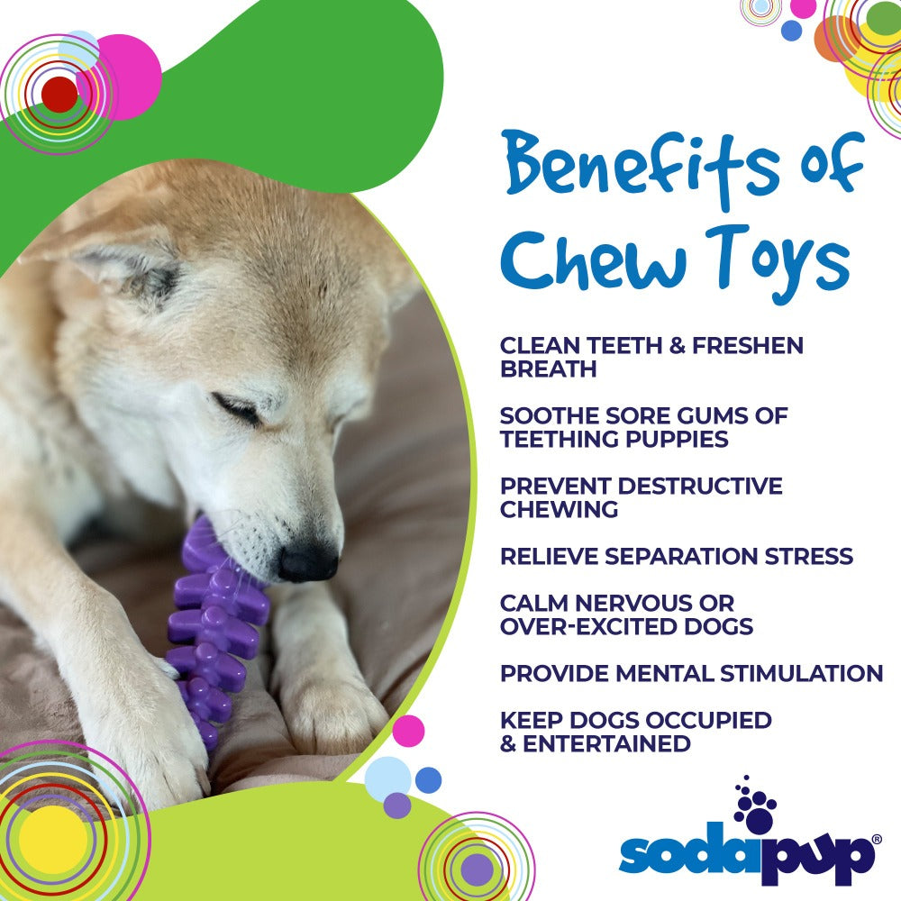 Benefits graphic for the purple SodaPup Fish Bone, a hard nylon chew for strong chewers