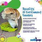 Benefits graphic for the SodaPup Four Seasons eTray, a shallow slow feeder for dogs