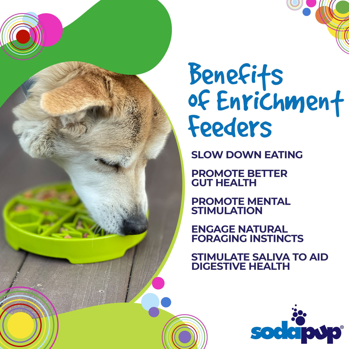 Benefits graphic for the SodaPup Four Seasons eTray, a shallow slow feeder for dogs