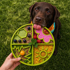 Green SodaPup Four Seasons eTray with blossom, sun ray, leaf and snowflake relief patterns