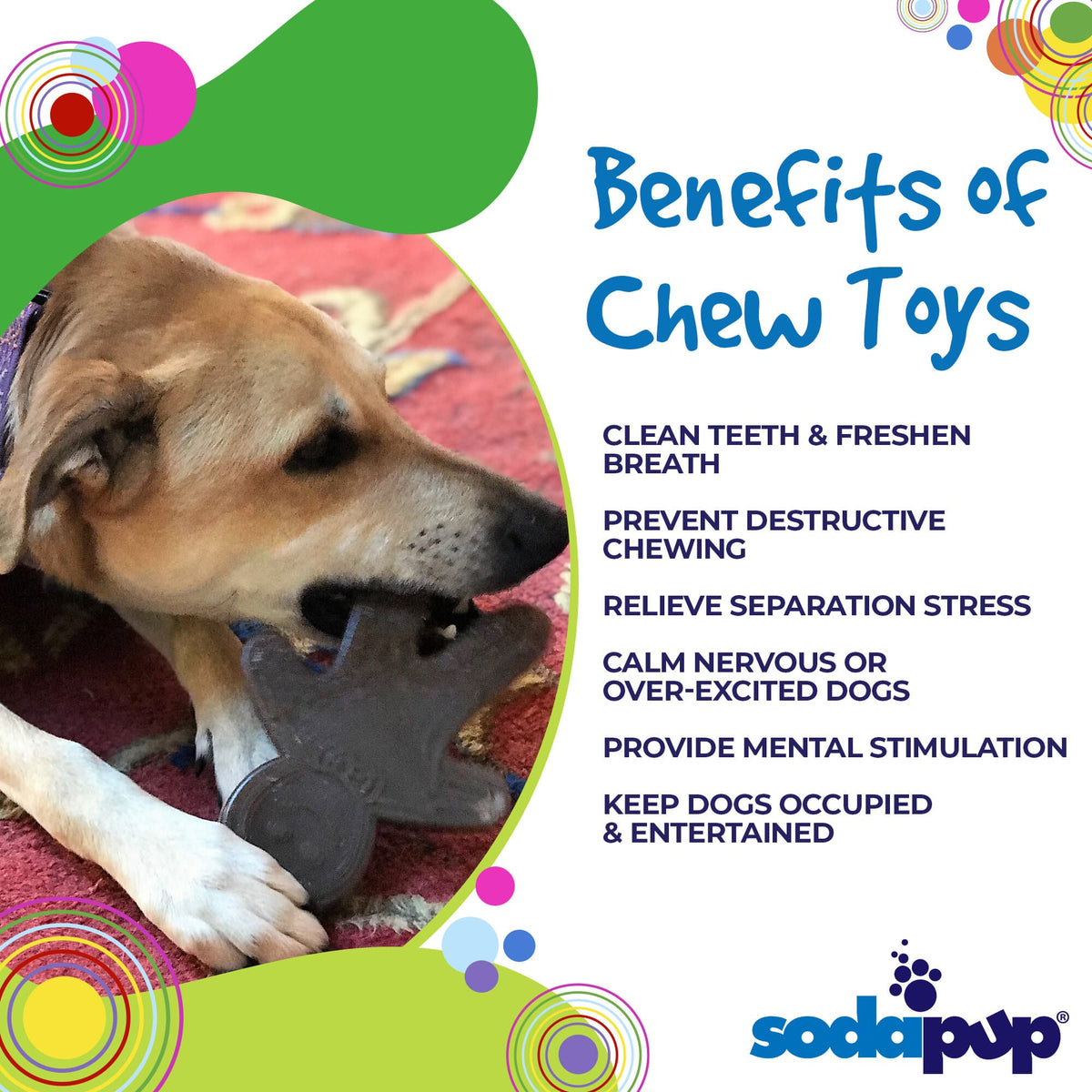Benefits graphic for the SodaPup Gingerbread Man, a holiday nylon chew for power chewers