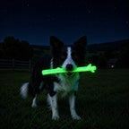 Glow-in-the-dark SodaPup chew stick that charges under sunlight or a lamp, no batteries needed