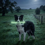 Made-in-USA SodaPup glow-in-the-dark nylon stick for medium and large dogs that chew hard