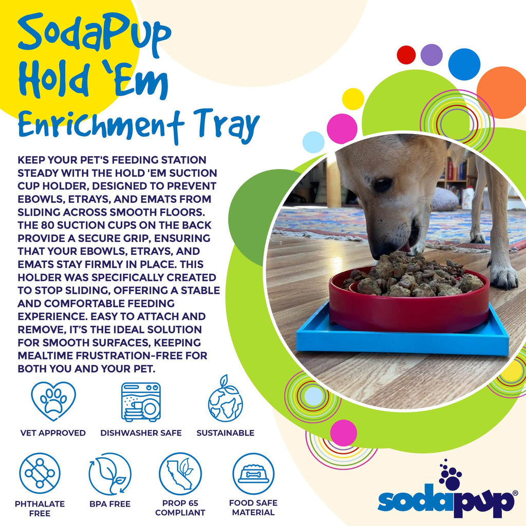 Product synopsis graphic for the light blue SodaPup Hold 'em suction cup holder