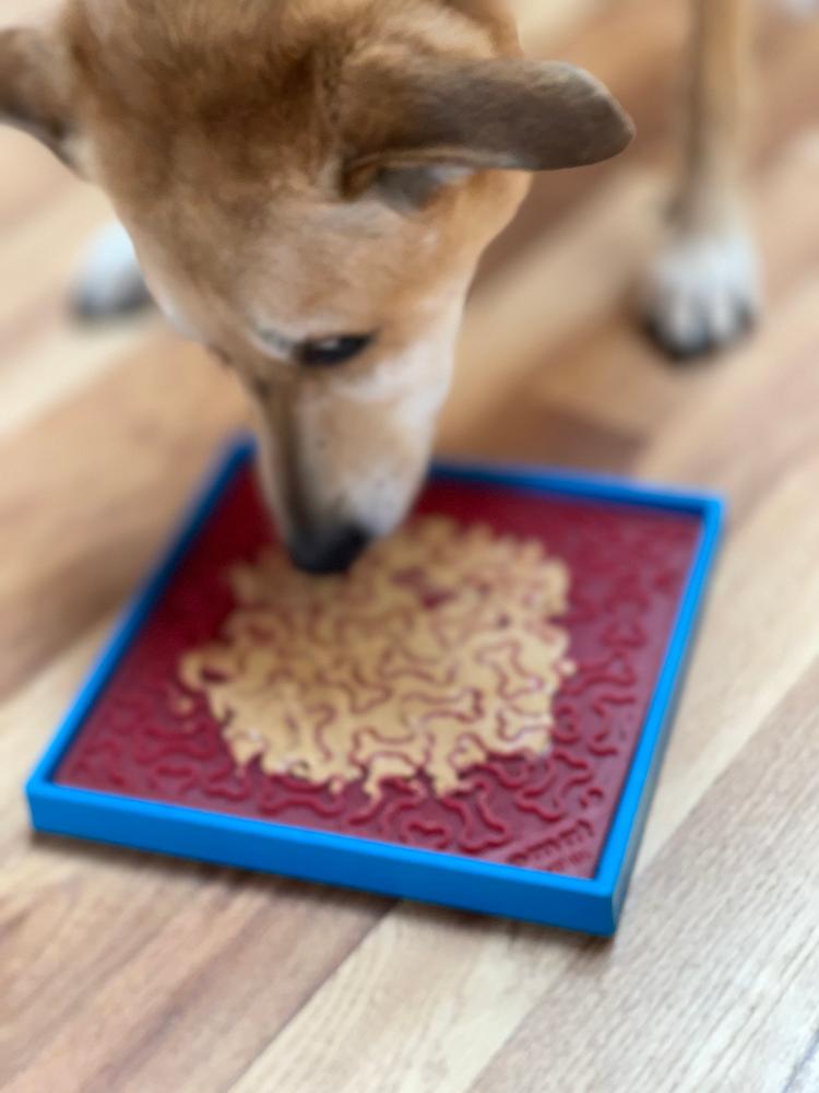 Light blue Hold 'em by SodaPup that sticks to tile floors to hold an eBowl or eMat in place
