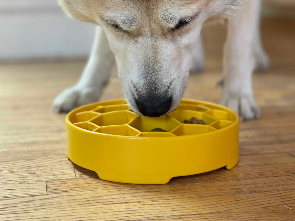 Honeycomb design eBowl by SodaPup, a made-in-USA deep slow feeder for everyday meals