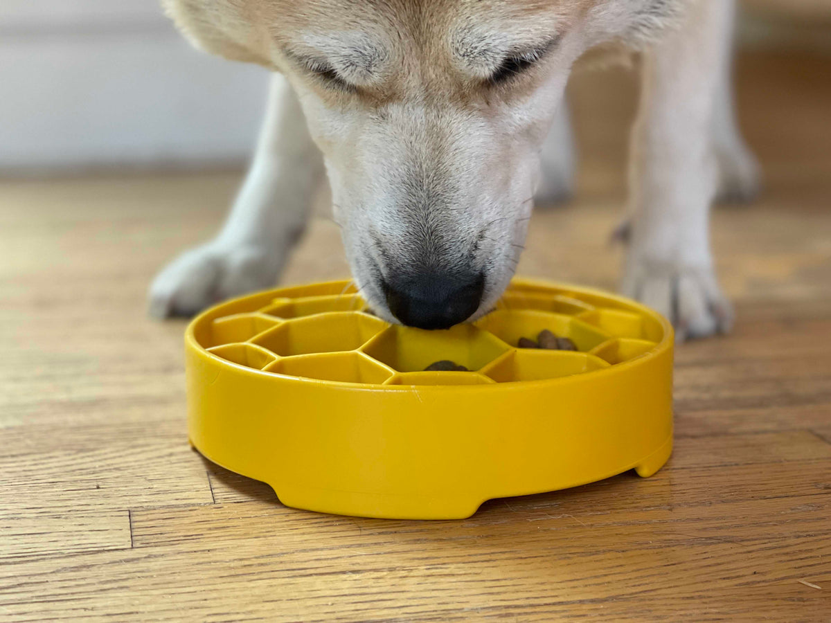 Honeycomb design eBowl by SodaPup, a made-in-USA deep slow feeder for everyday meals