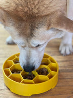 SodaPup Honeycomb eBowl slow feeder bowl for multi-dog homes and daily mealtime enrichment