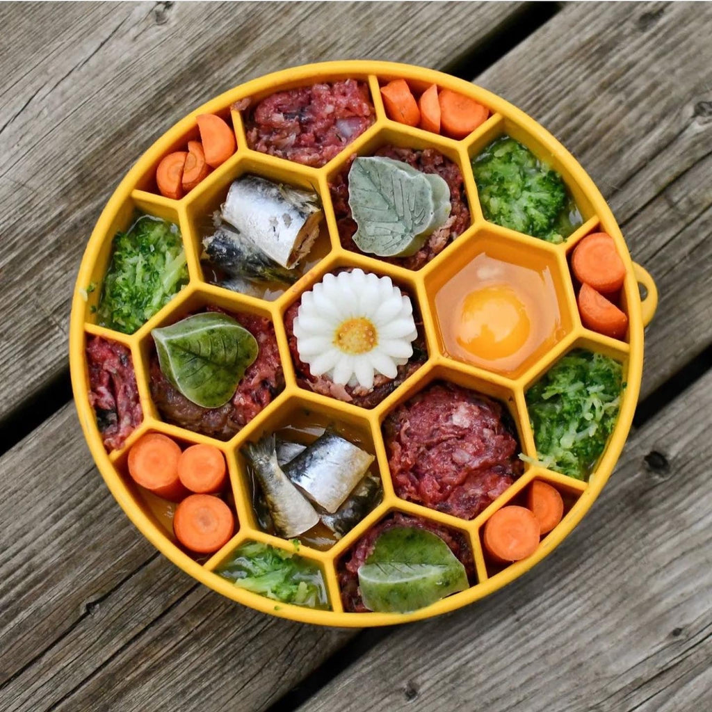 Yellow Honeycomb eBowl by SodaPup, about 8 x 8 inches, holding about 4 cups of dog food