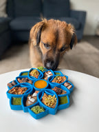 SodaPup Mandala eTray shallow slow feeder for frozen wet food and pureed treats